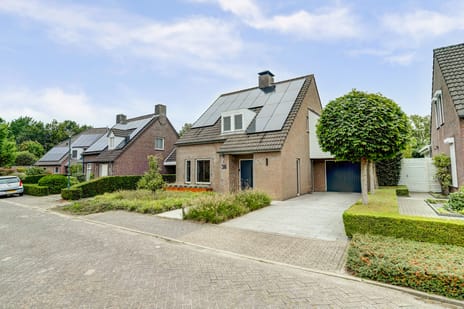 undefined main image