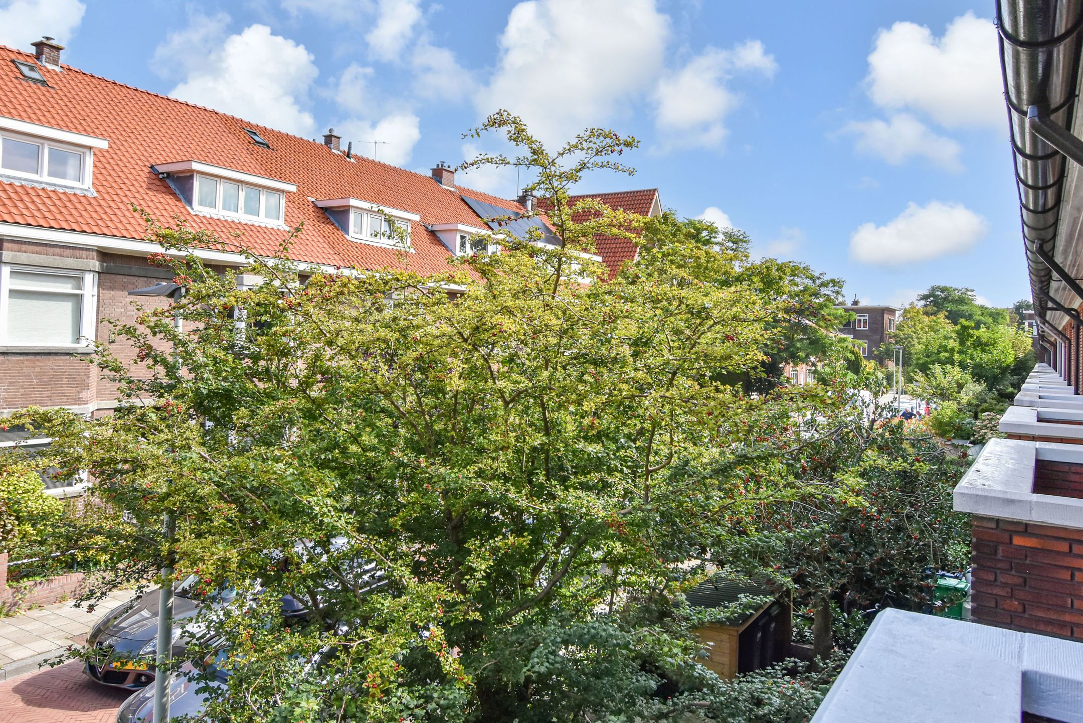 Foto 36 van Goudreinetstraat 588