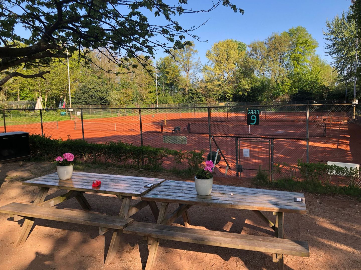 Foto 65 van Goudreinetstraat 588