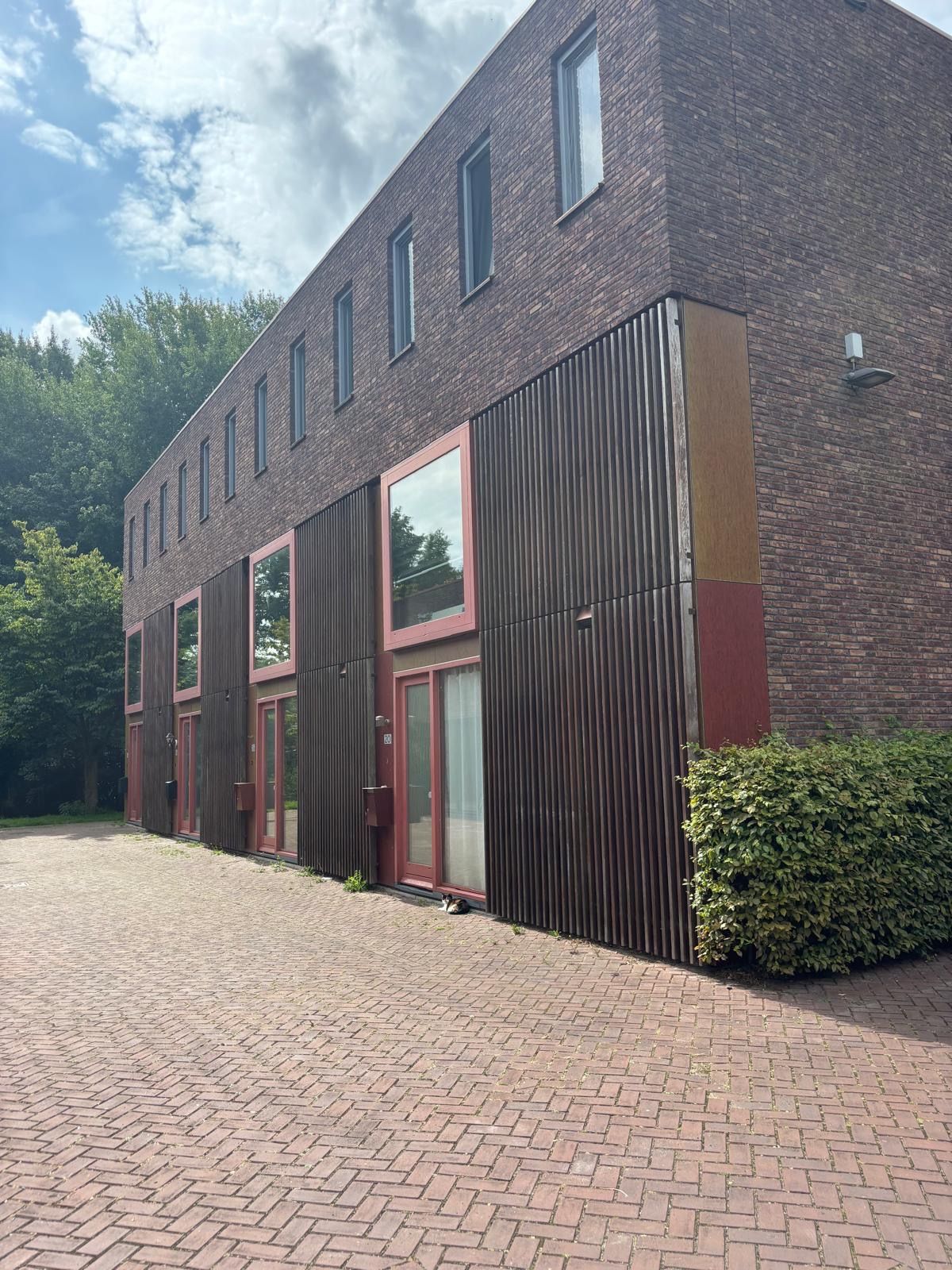 Zonnebaarsstraat 14