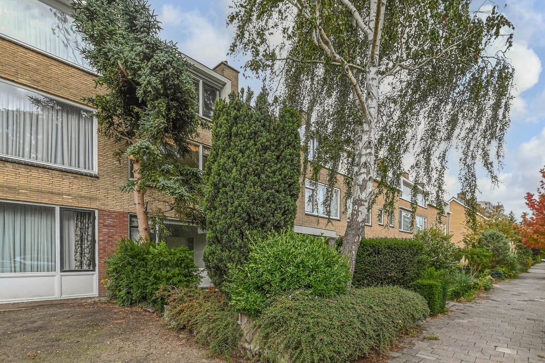 Foto 46 van Klarinetstraat 26