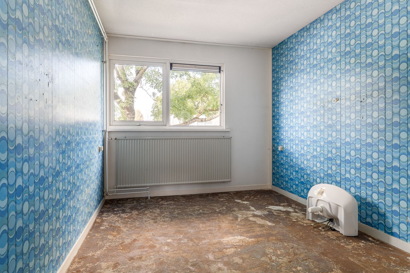 Photo 25 of de Jokse 145