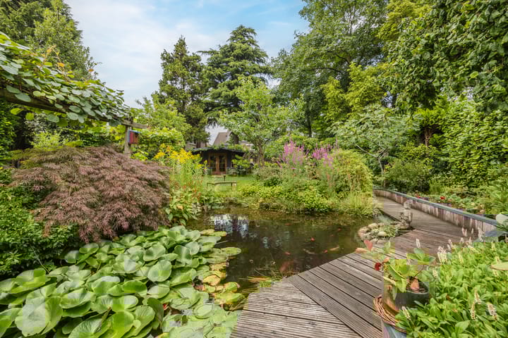 Foto 3 van Zwartmoeren 10