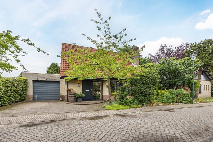 Foto 4 van Zwartmoeren 10