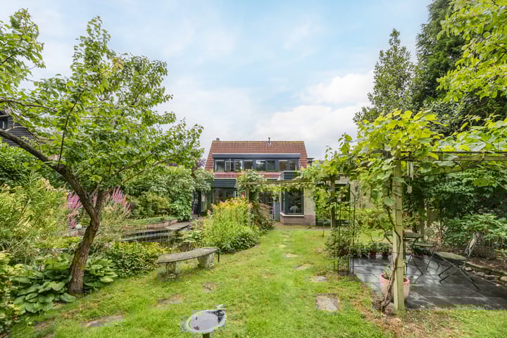 Foto 38 van Zwartmoeren 10