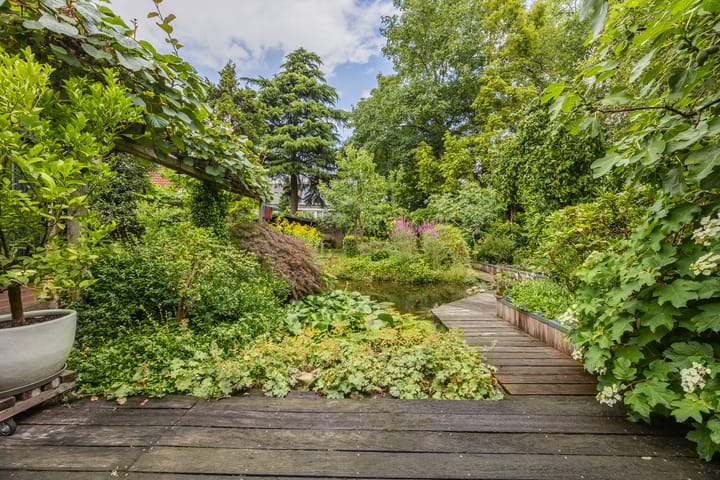 Foto 37 van Zwartmoeren 10