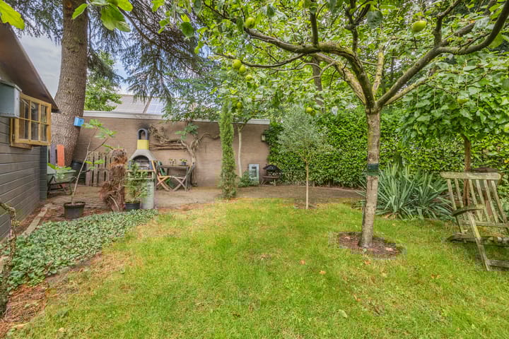 Foto 43 van Zwartmoeren 10