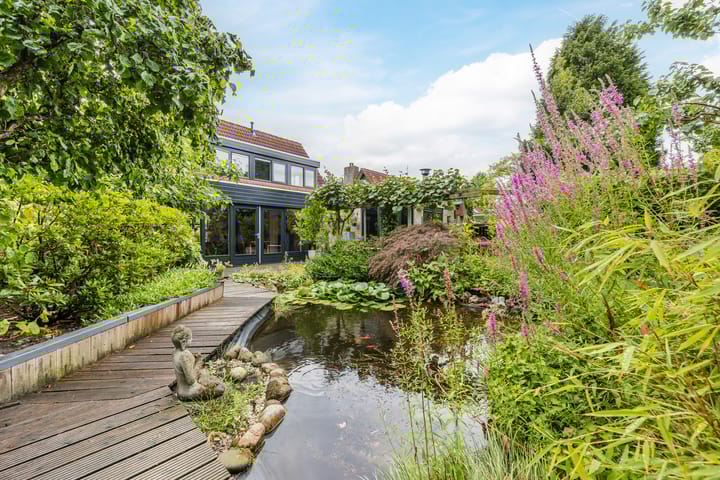 Foto 49 van Zwartmoeren 10