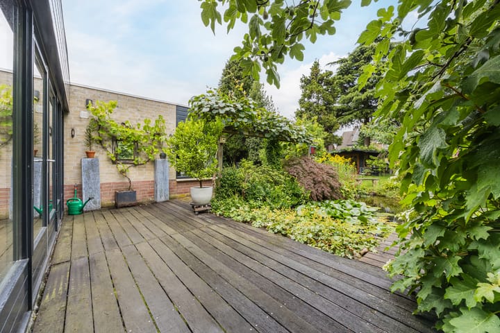 Foto 50 van Zwartmoeren 10