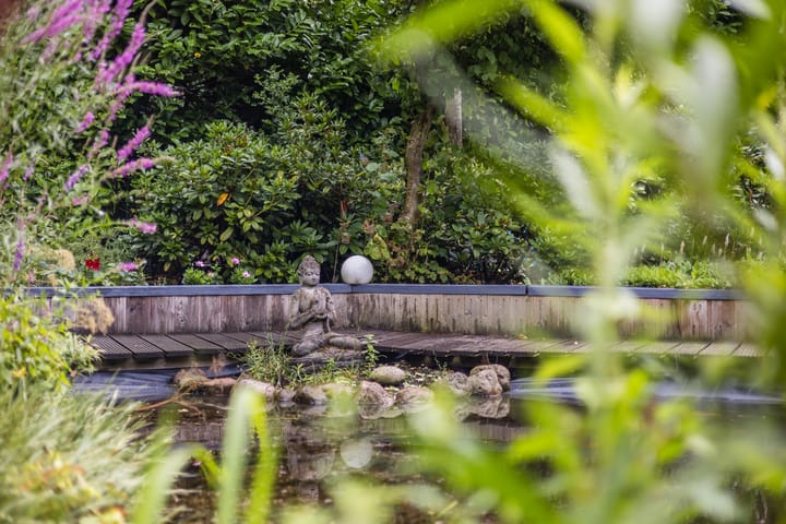 Foto 51 van Zwartmoeren 10