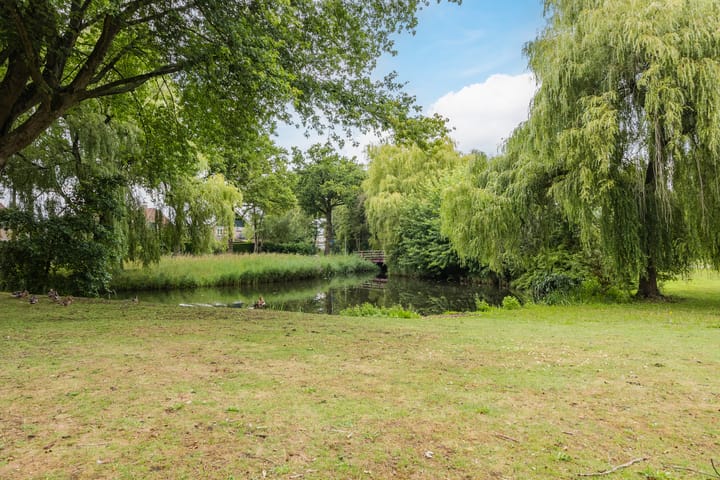 Foto 52 van Zwartmoeren 10