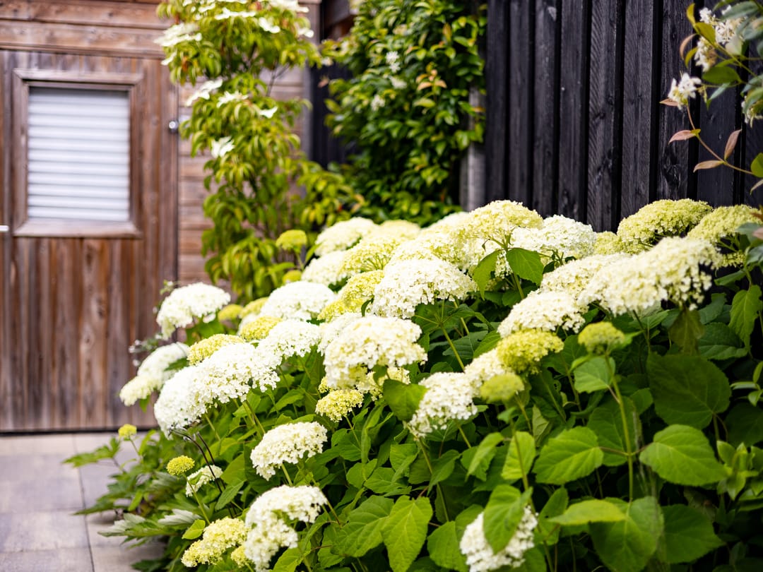 Foto 31 van Waterrad 33