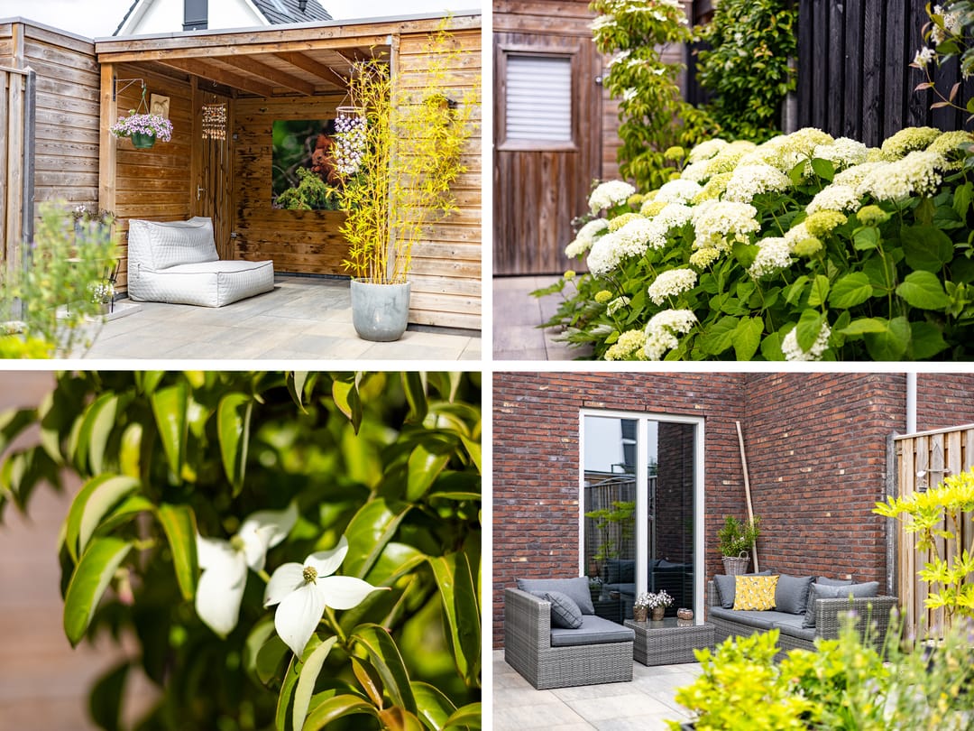 Foto 43 van Waterrad 33