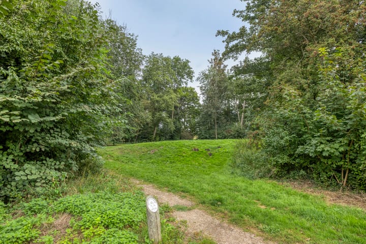 Photo 43 of Scholeksterhof 32