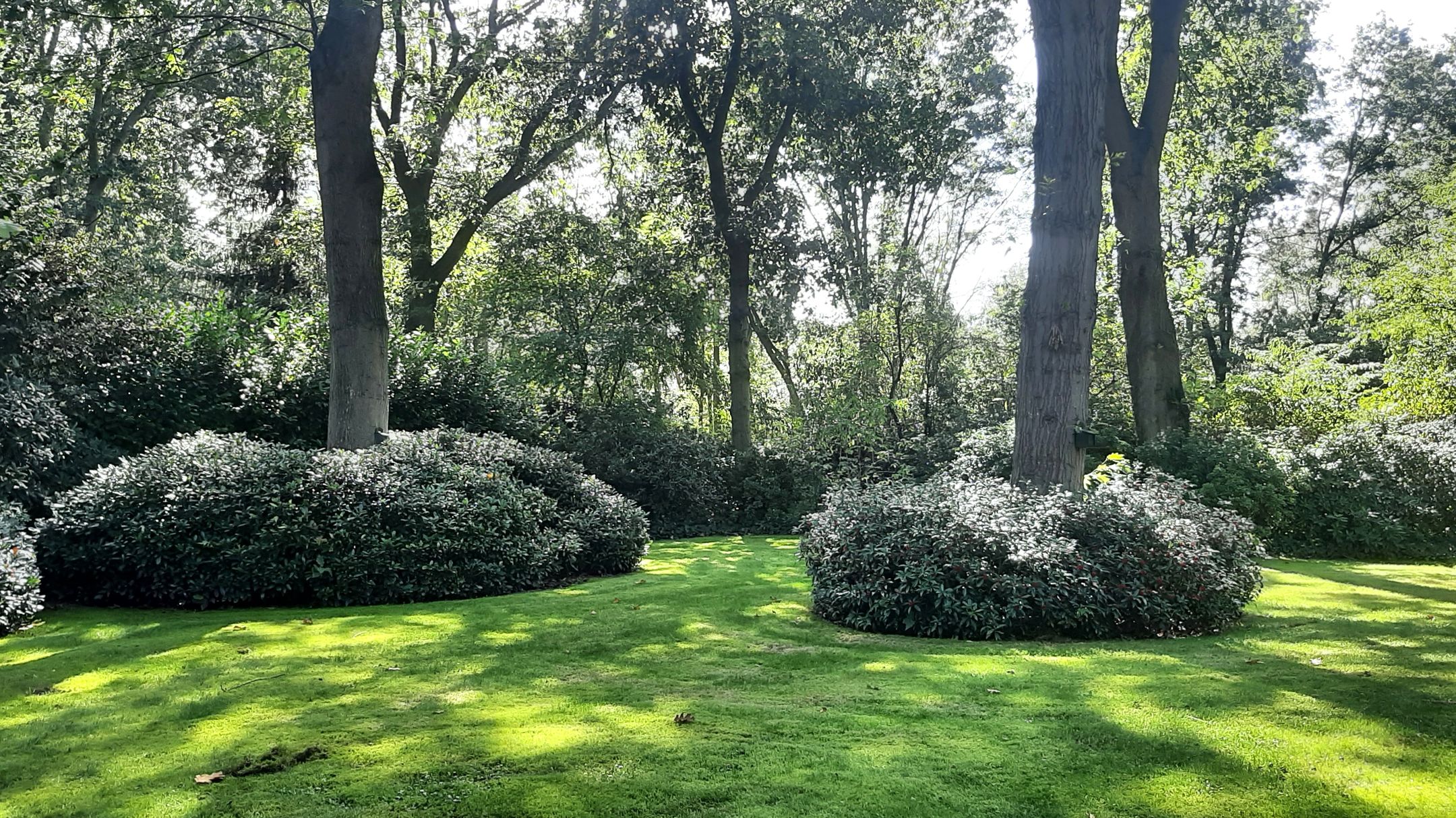 Foto 6 van Korhoen 14