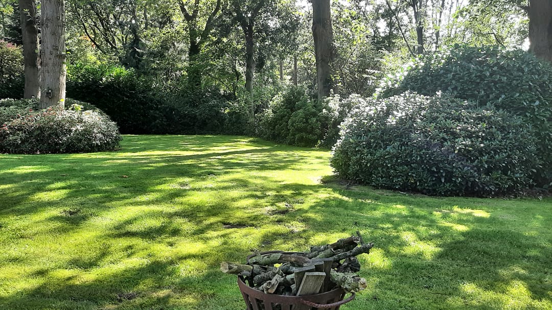 Foto 7 van Korhoen 14