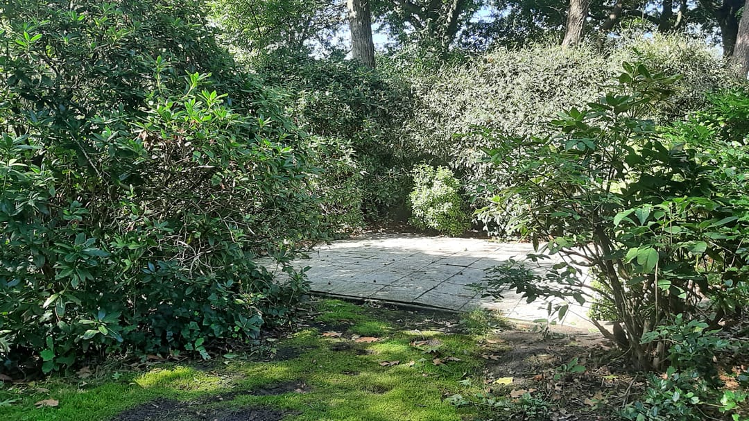 Foto 8 van Korhoen 14