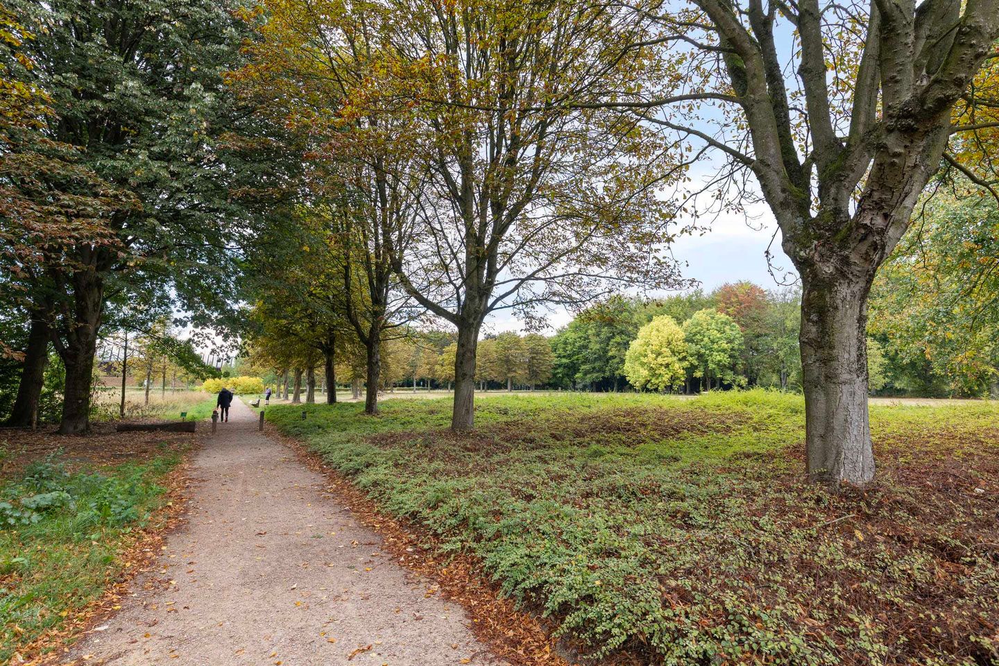 Foto 29 van Paul Scholtenweg 12