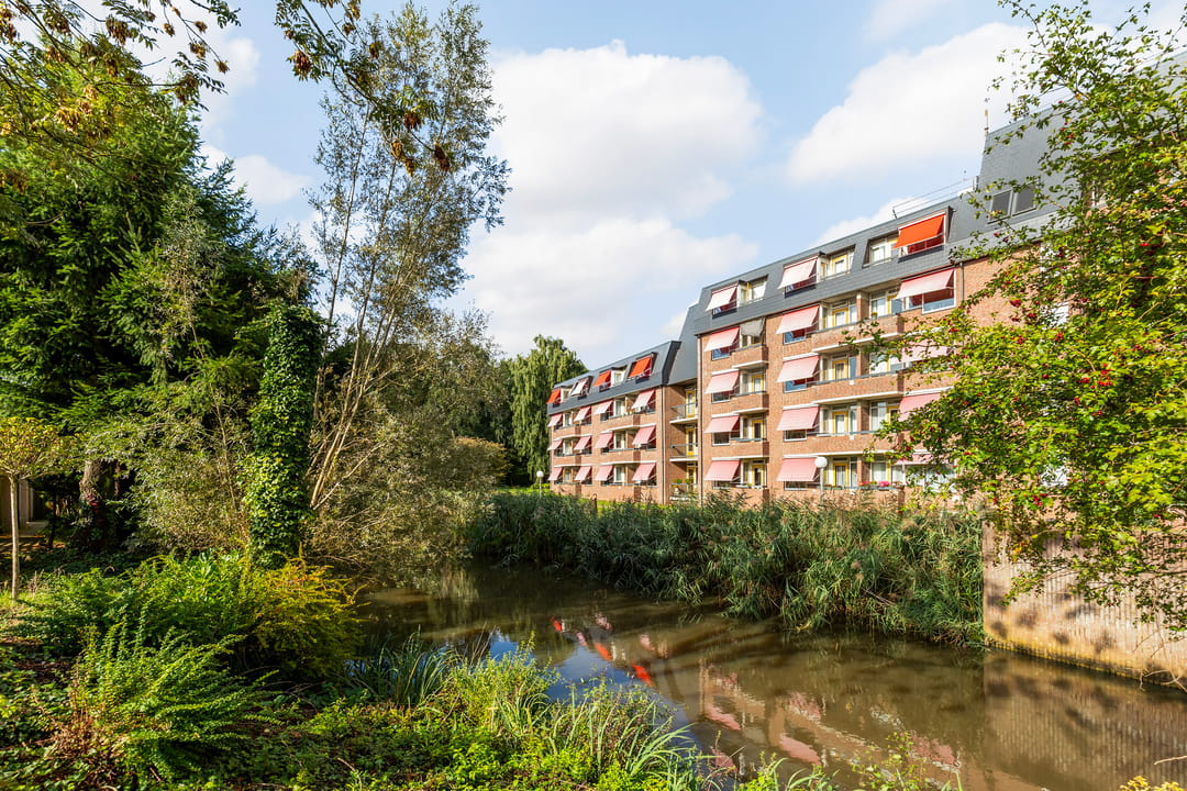 Foto 2 van De Violieren 158