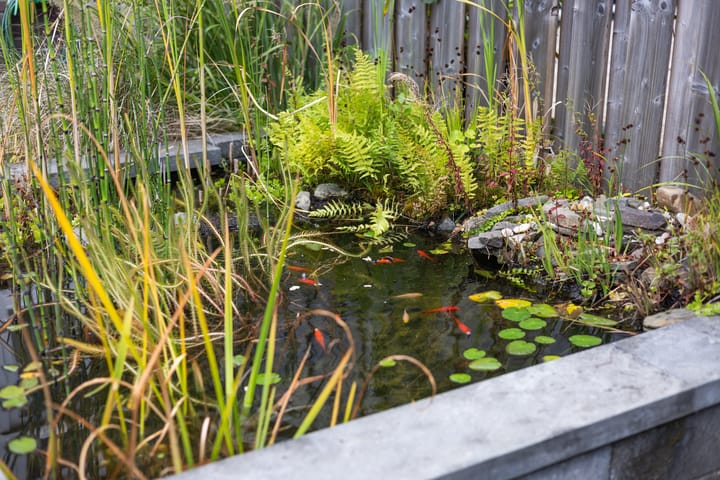 Foto 34 van Ackersdijckstraat 33