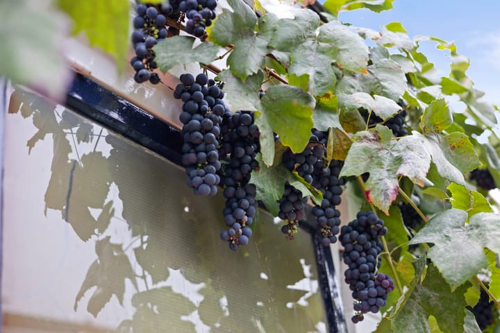 Foto 36 van Ackersdijckstraat 33