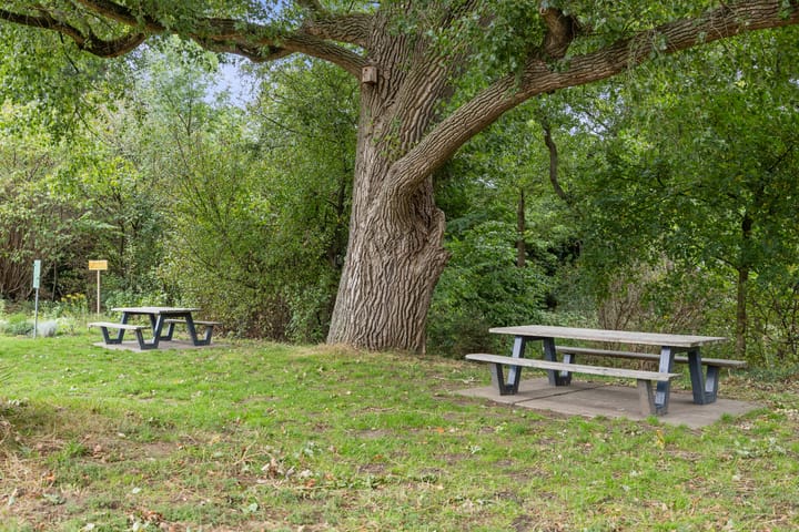 Foto 38 van Ackersdijckstraat 33