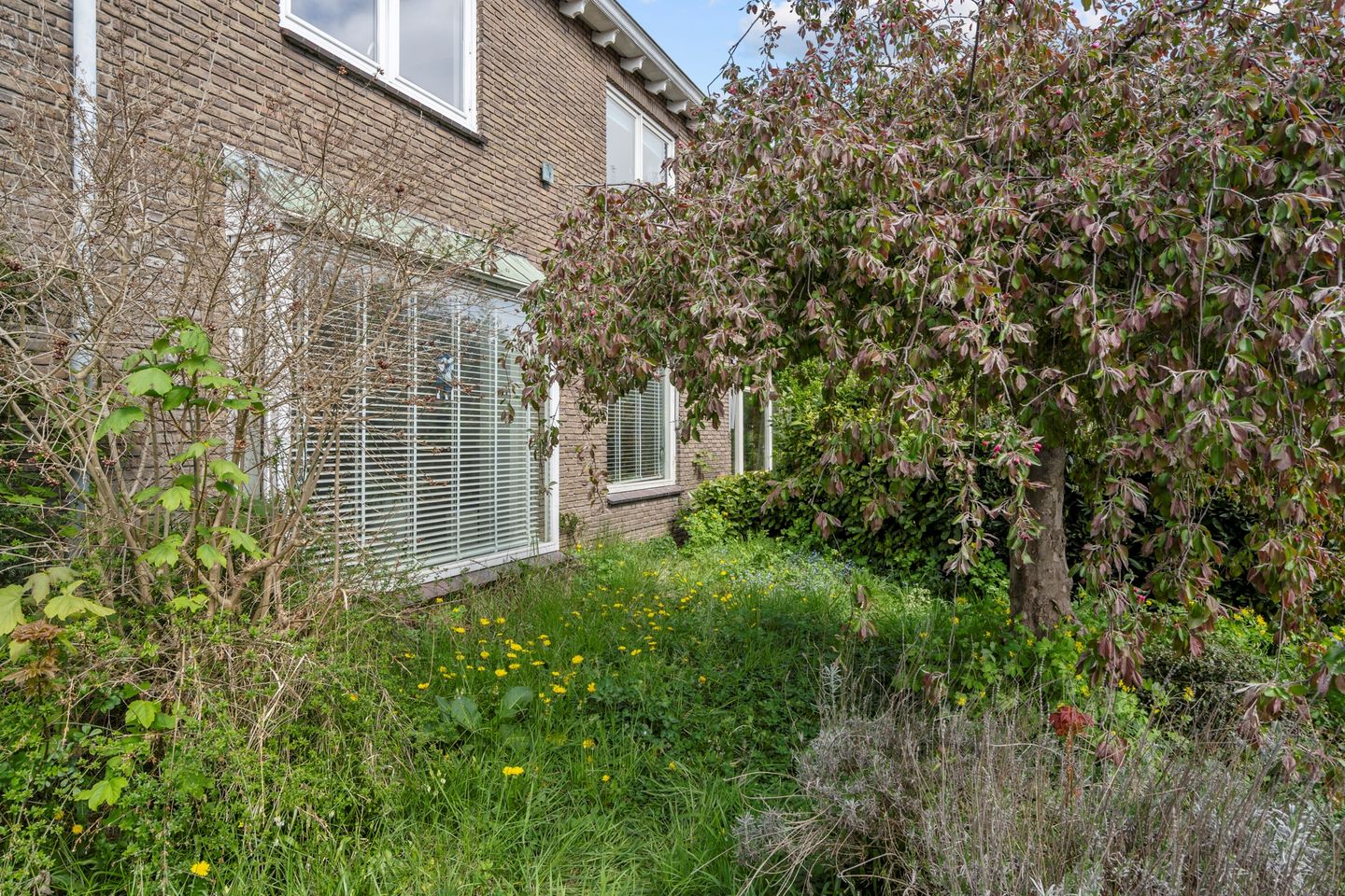 Photo 34 of Churchillweg 94