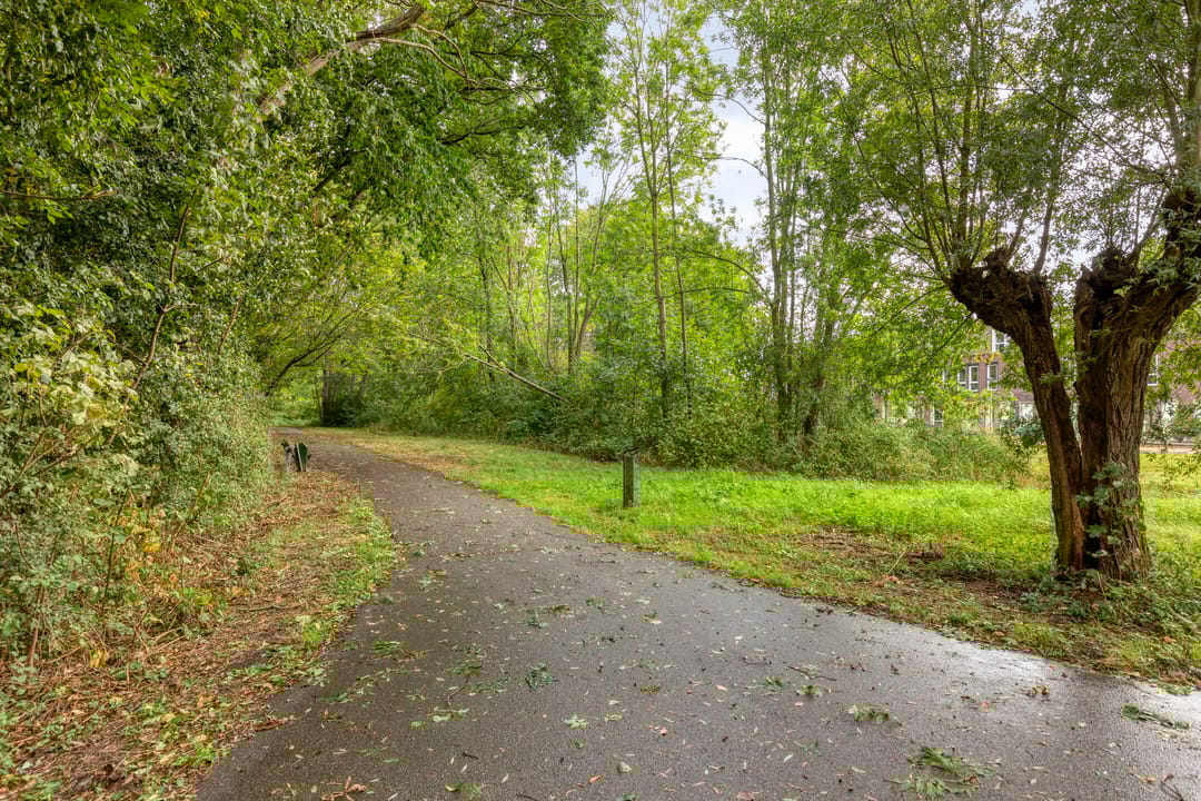 Foto 31 van Ereprijspad 2