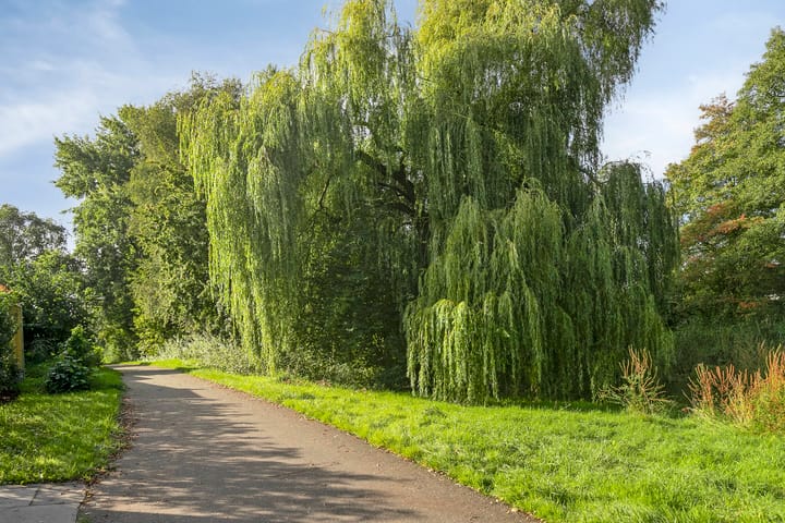 Foto 28 van Boswachtersveld 211