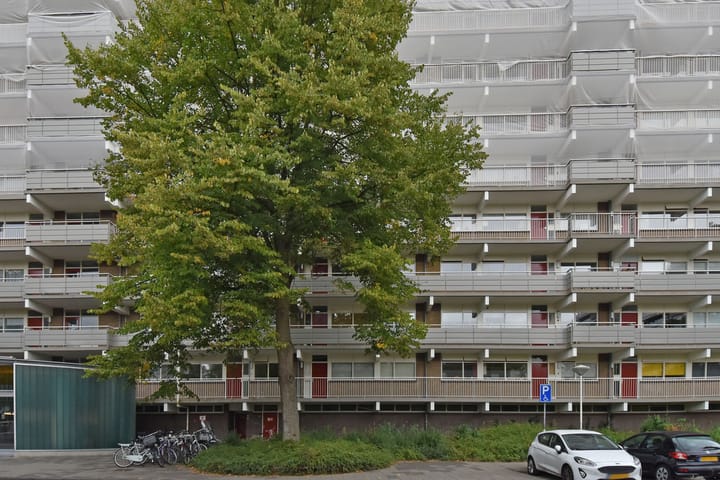 Foto 3 van Jonkerbos 126