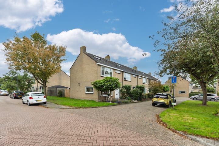 Foto 4 van Johannes Vermeerhof 1