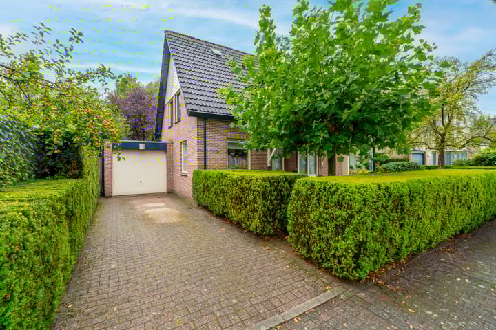 Foto 2 van Bitterschoten 9