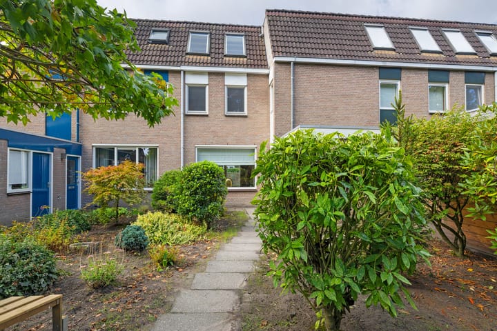 Foto 8 van Johan Frisopark 93