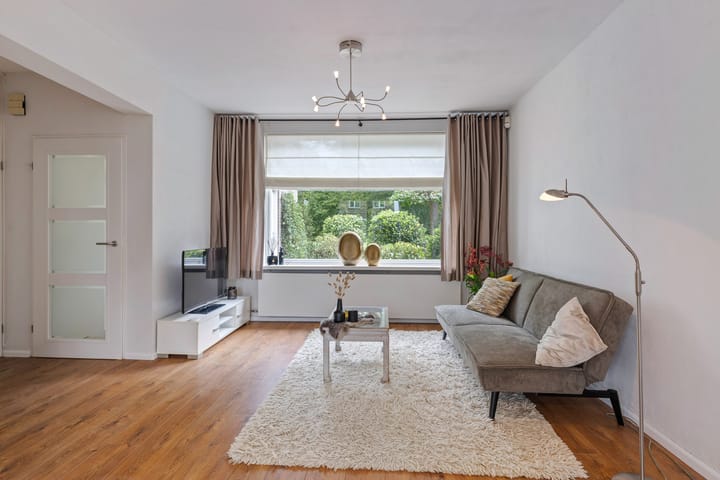 Foto 13 van Johan Frisopark 93