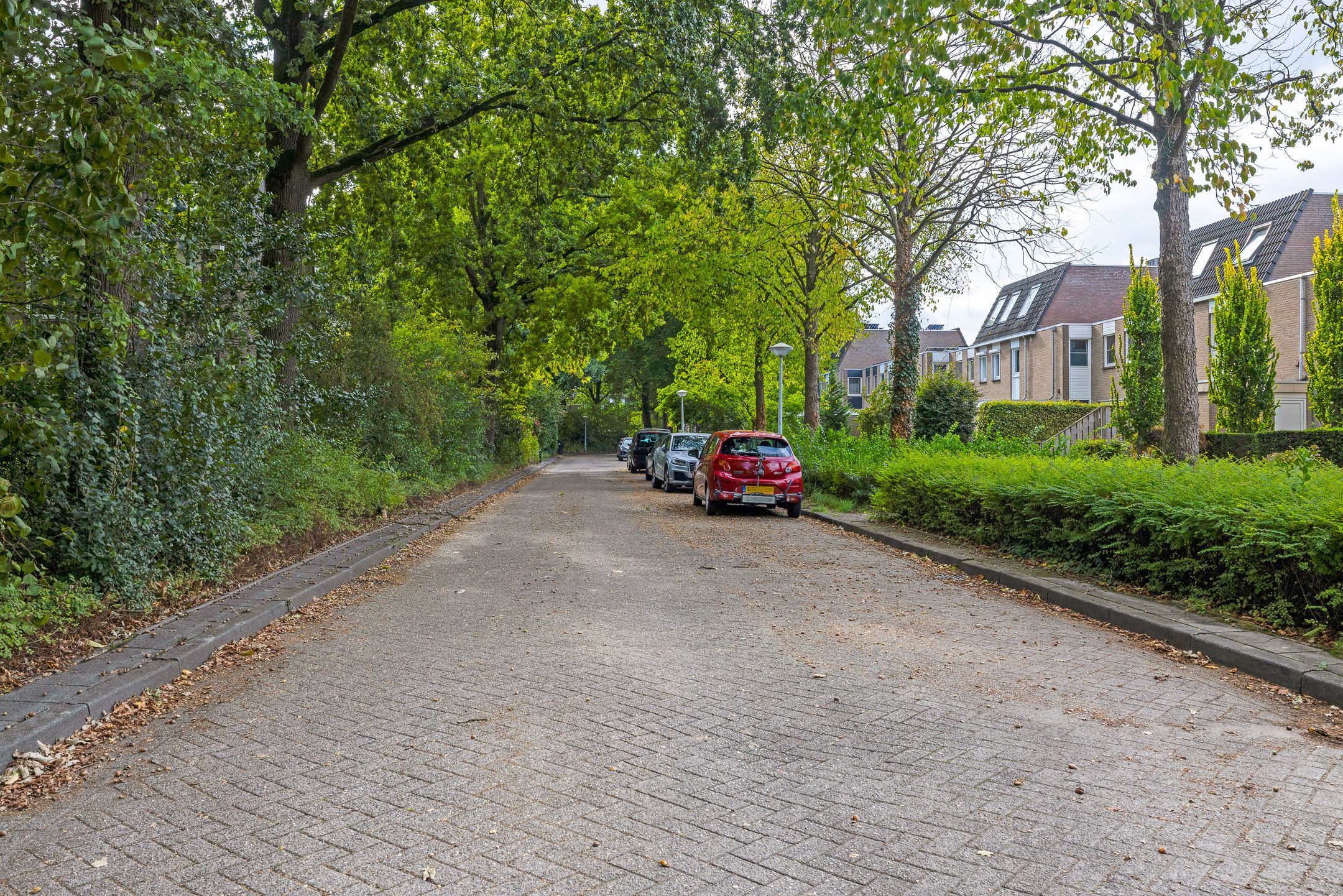 Foto 45 van Johan Frisopark 93