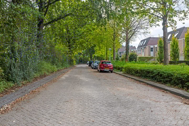 Foto 45 van Johan Frisopark 93