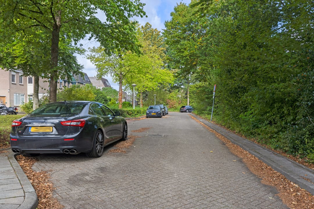 Foto 46 van Johan Frisopark 93