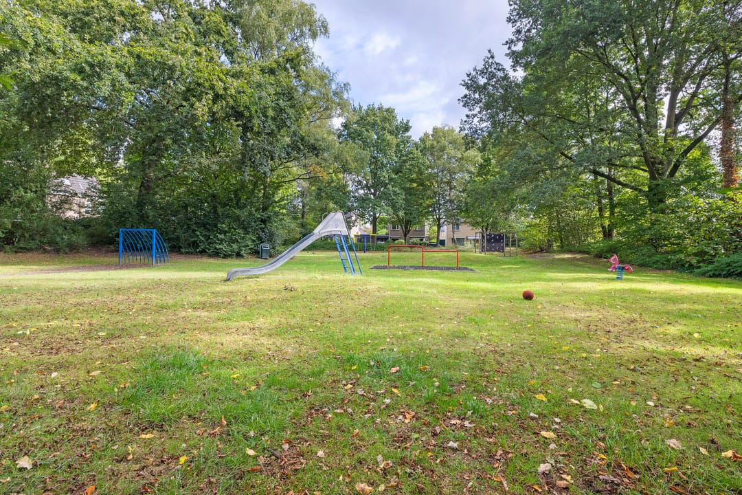 Foto 47 van Johan Frisopark 93