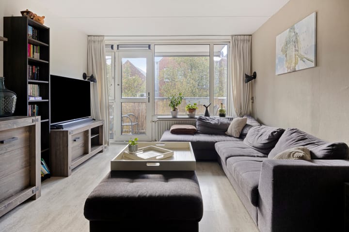 Foto 2 van de Swaenenborgh 66