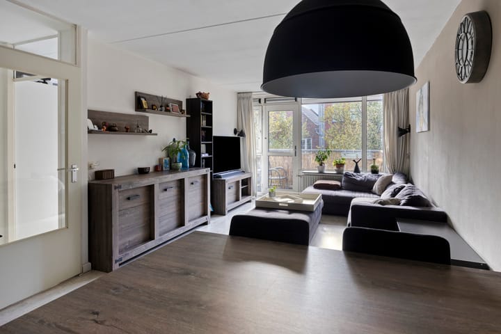 Foto 3 van de Swaenenborgh 66