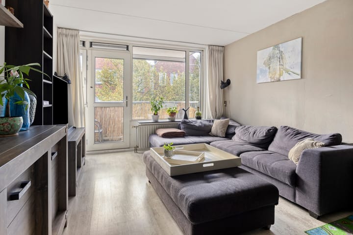 Foto 4 van de Swaenenborgh 66