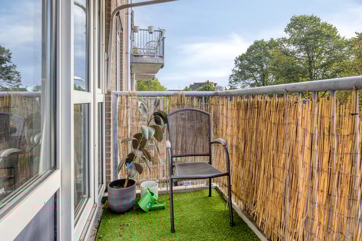 Foto 5 van de Swaenenborgh 66