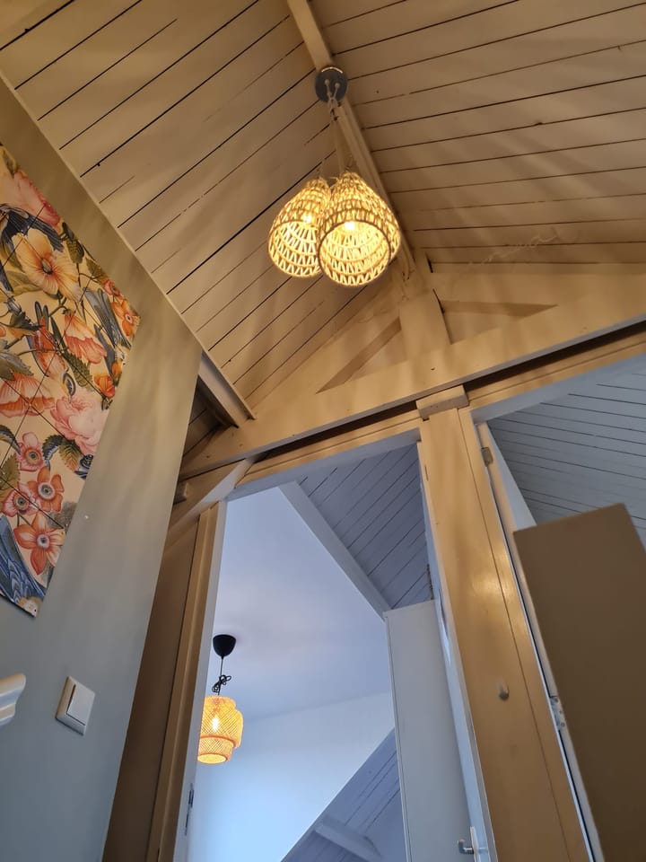 Photo 49 of Pegasusstraat 60