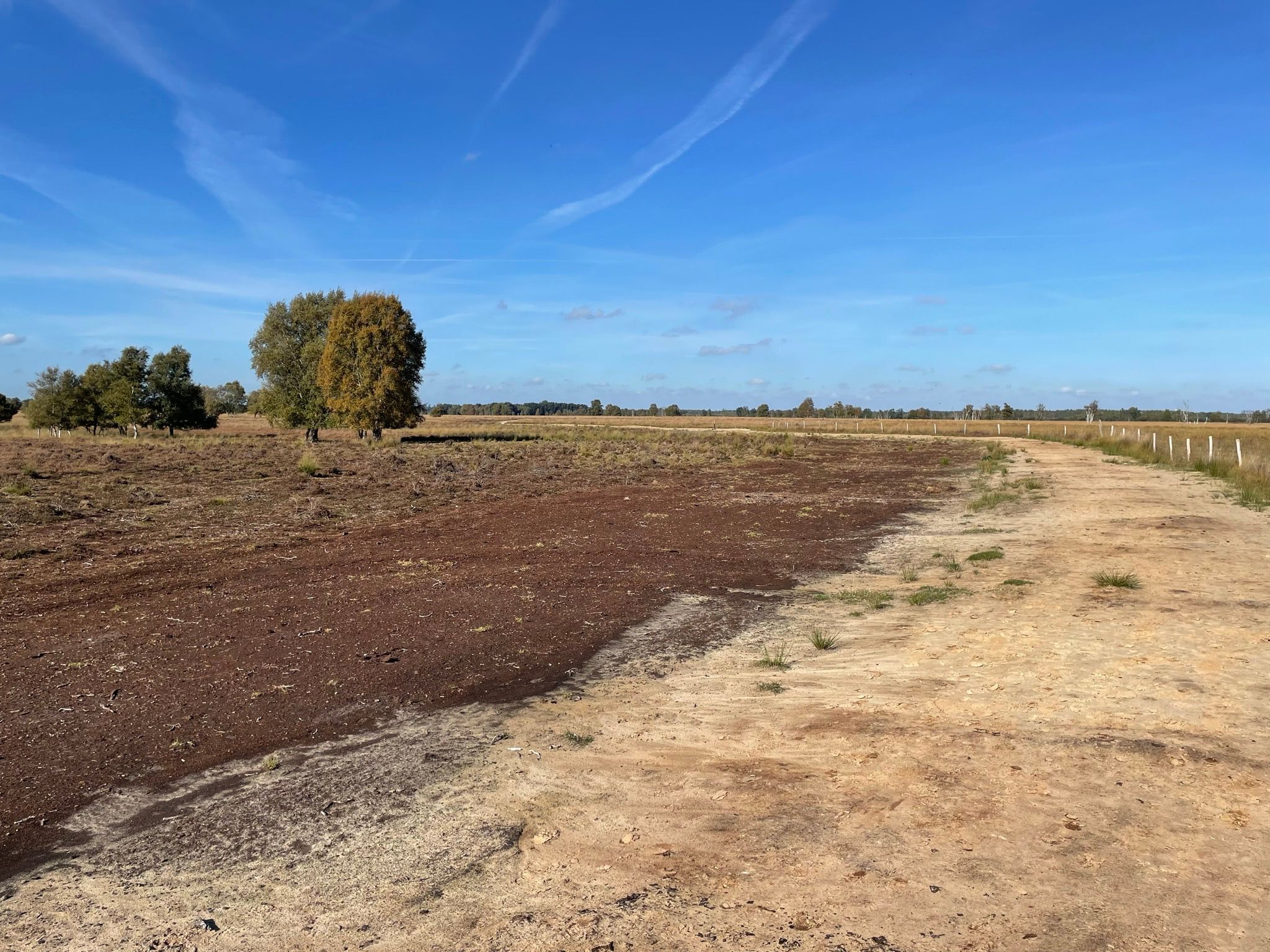 Foto 39 van De Kap 225