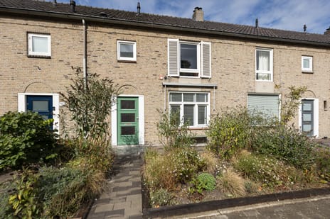 undefined main image