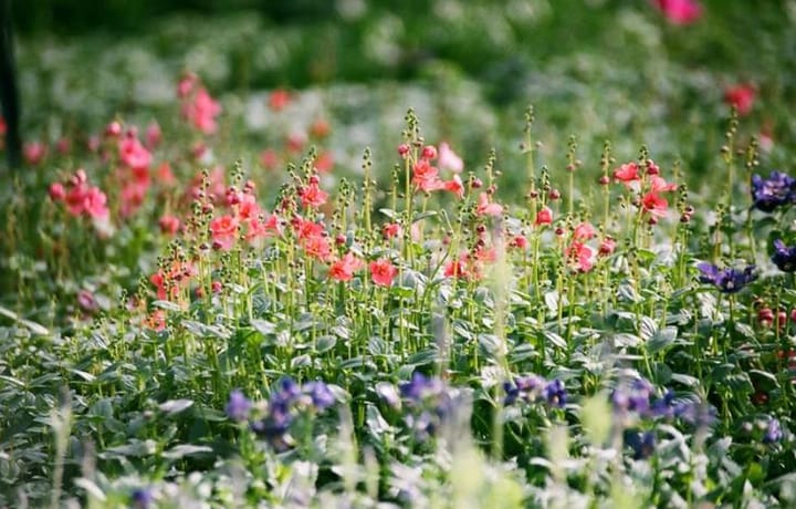 Foto 18 van Het Stadsbad - NU IN VERKOOP!!