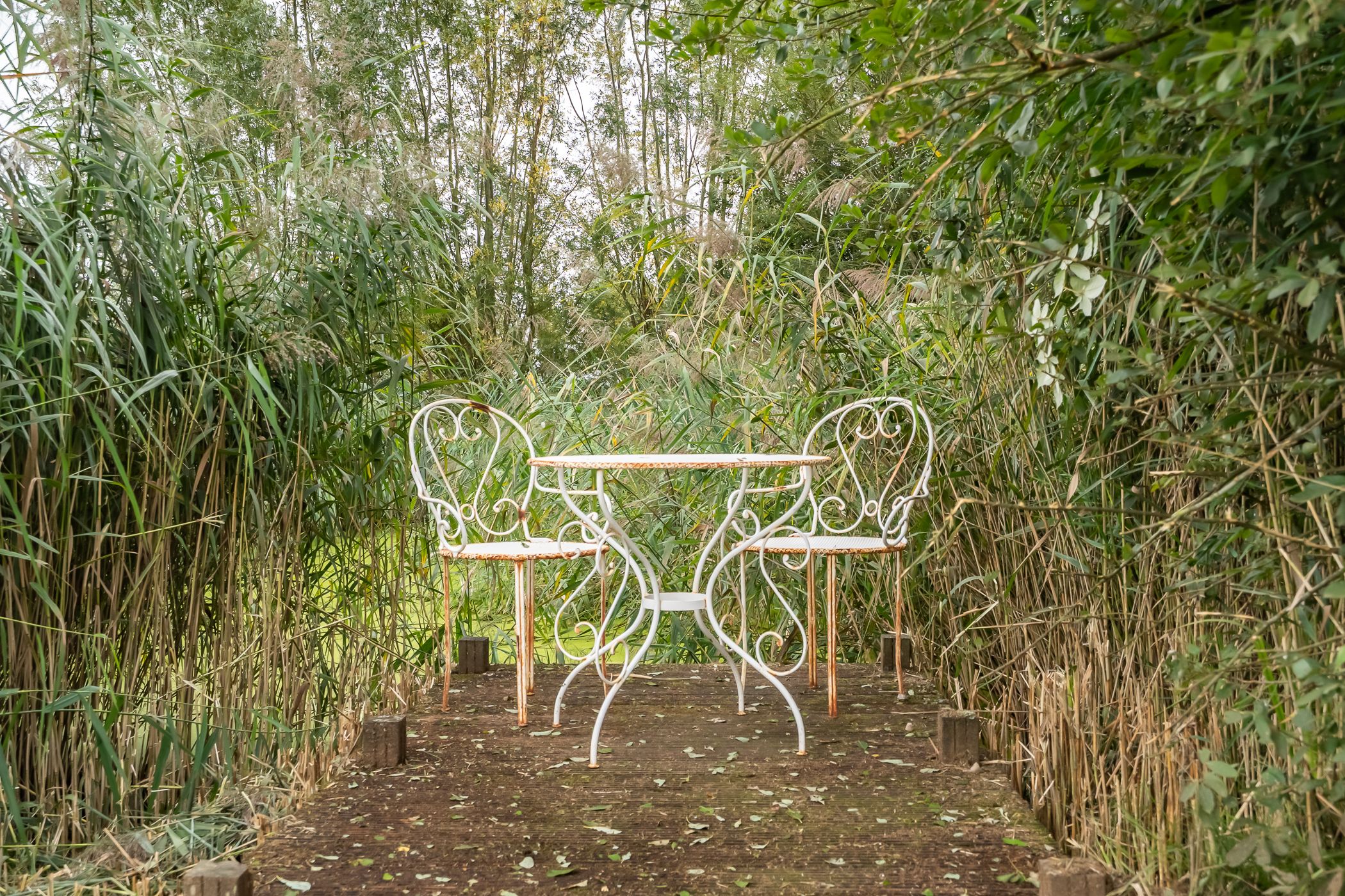 Foto 51 van Pothuizerweg 29