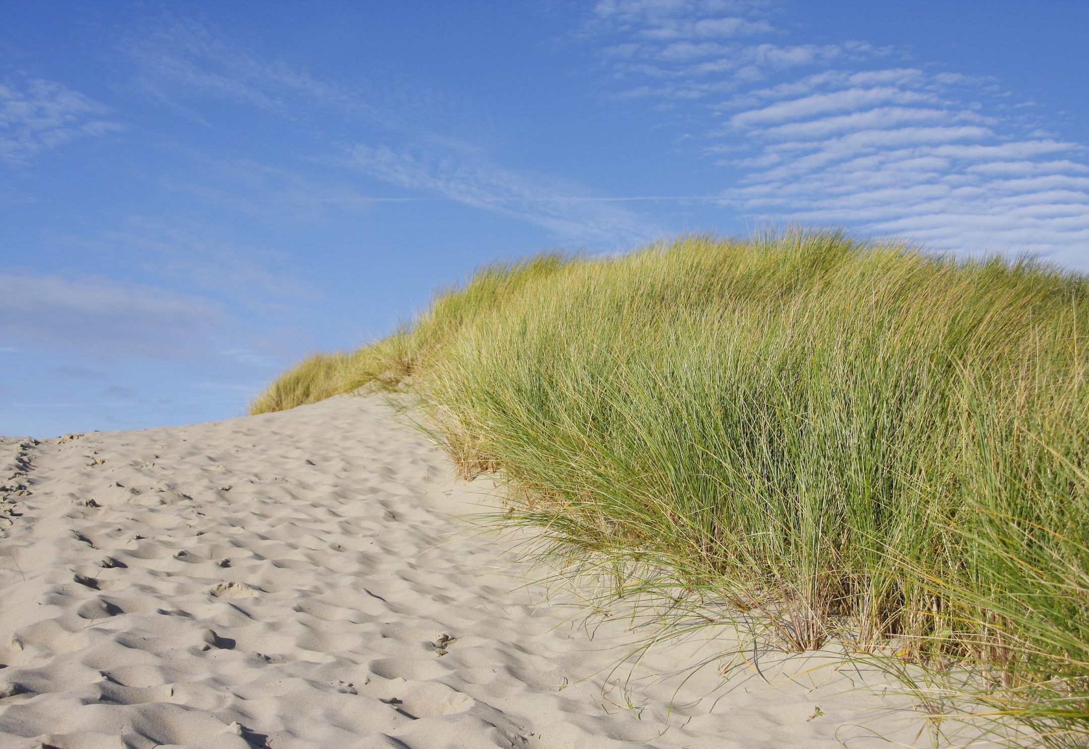 Foto 15 van Zanderijweg 14 (Bouwnr. 39)