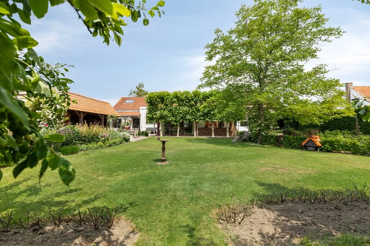 Photo 51 of Zandstraat 159