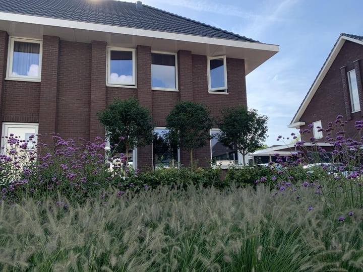 Foto 12 van Hondsdraf 81